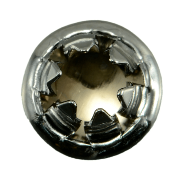 6mm Hole Plugs