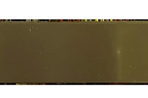 Fancy Brass Halter Plate