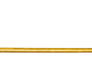 1/4 x 10 Tan Hex Timber Construction Screws Flagged