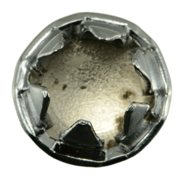 10mm Metric Hole Plugs