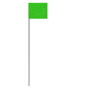 21In Green Stake Flag